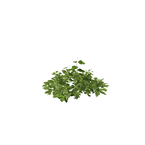 Plant 27_LOD_0